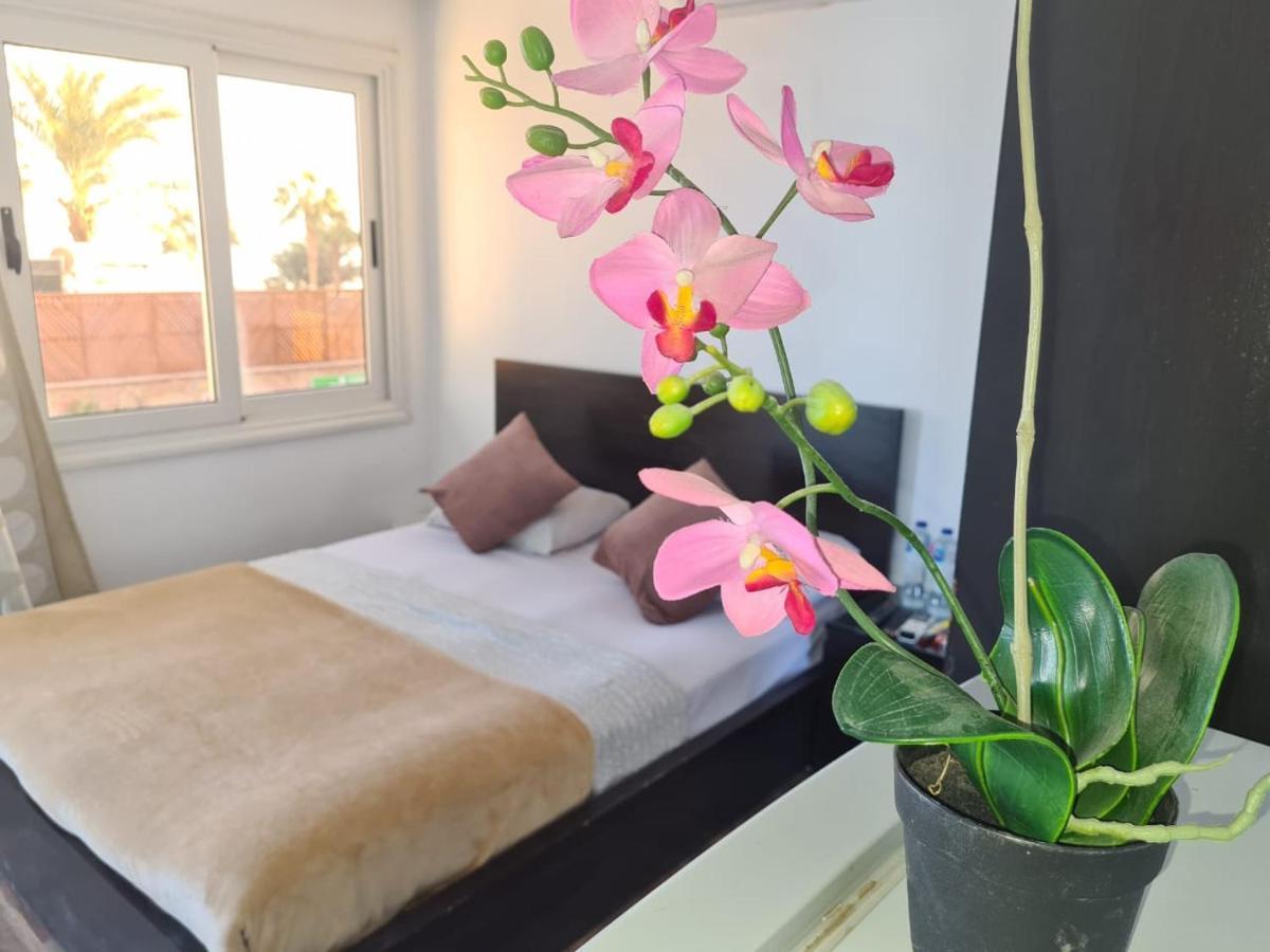 Lilly Lounge And Pool Accommodation For Adults Only Hurghada Exterior photo